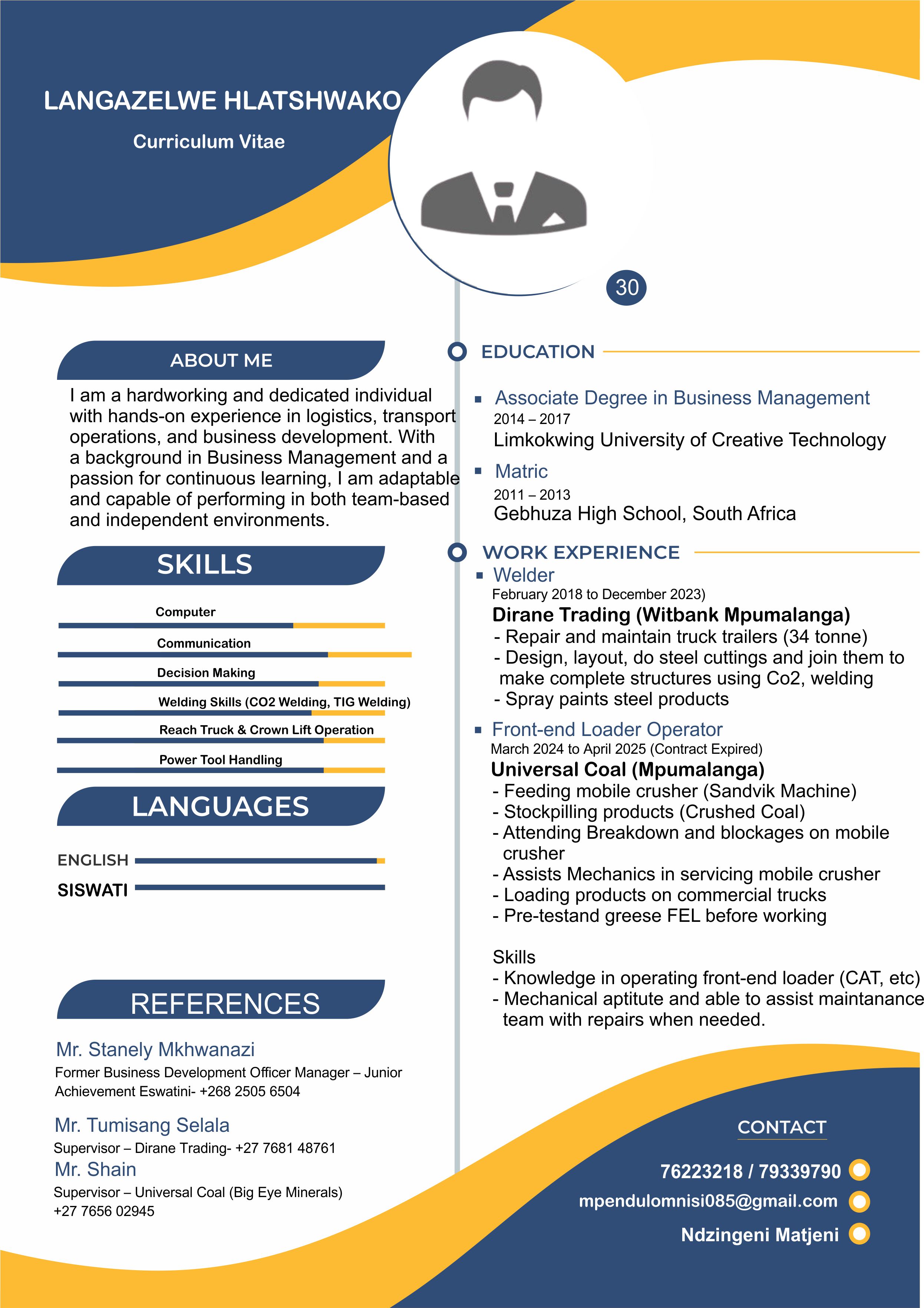 Professional CV Sample 2
