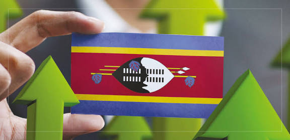 Top Job Search Tips for Eswatini in 2023